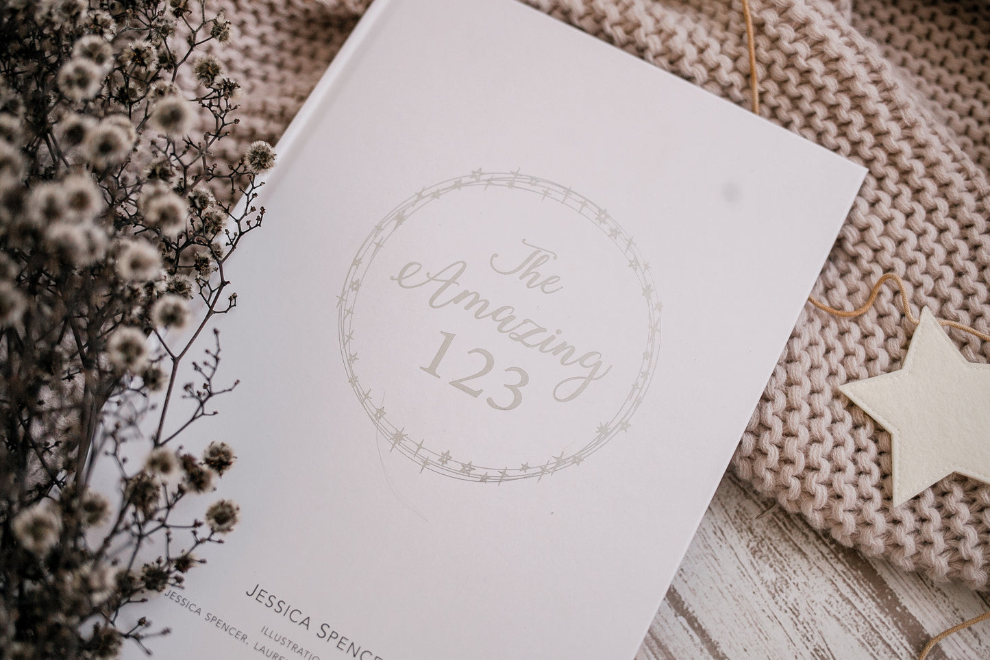 Adored Illustrations The Amazing 123 Book