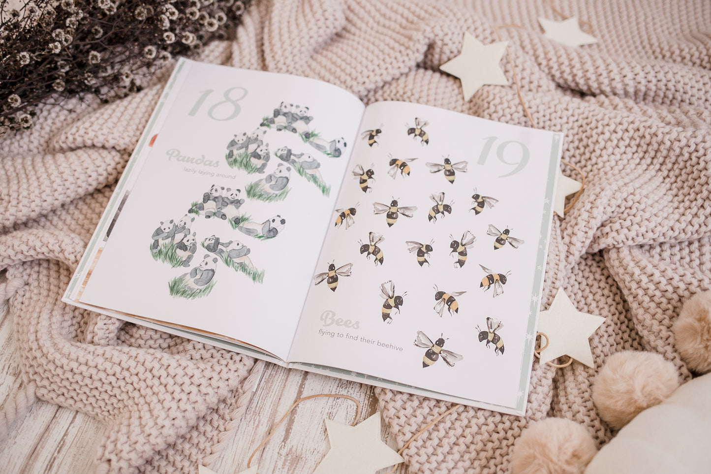 Adored Illustrations The Amazing 123 Book