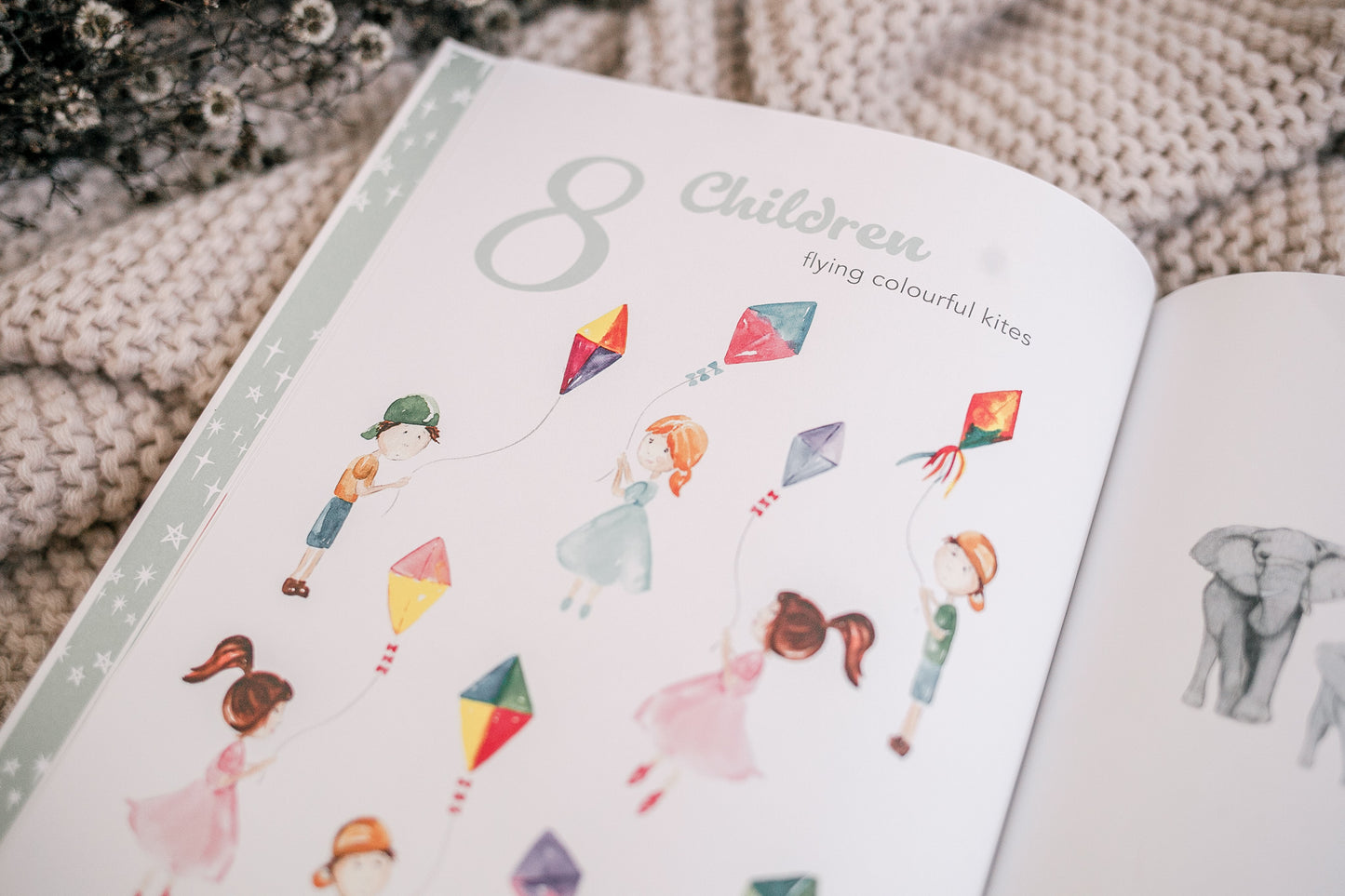 Adored Illustrations The Amazing 123 Book